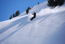 Top Ski Piculin Image