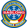 Saslong Logo